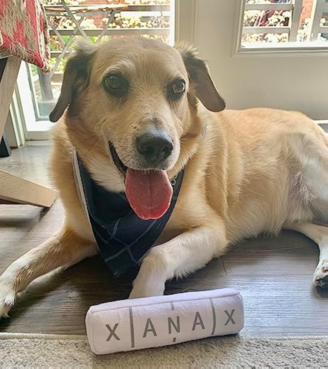 Xanax Plush – The Calm Chew Toy for Dogs Who Overthink