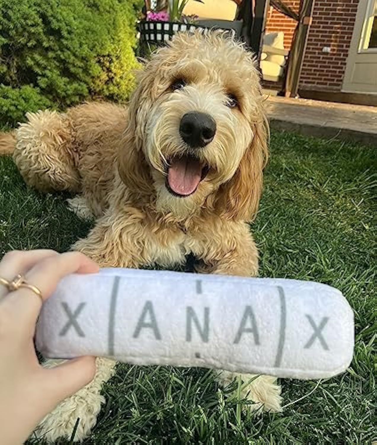 Xanax Plush – The Calm Chew Toy for Dogs Who Overthink