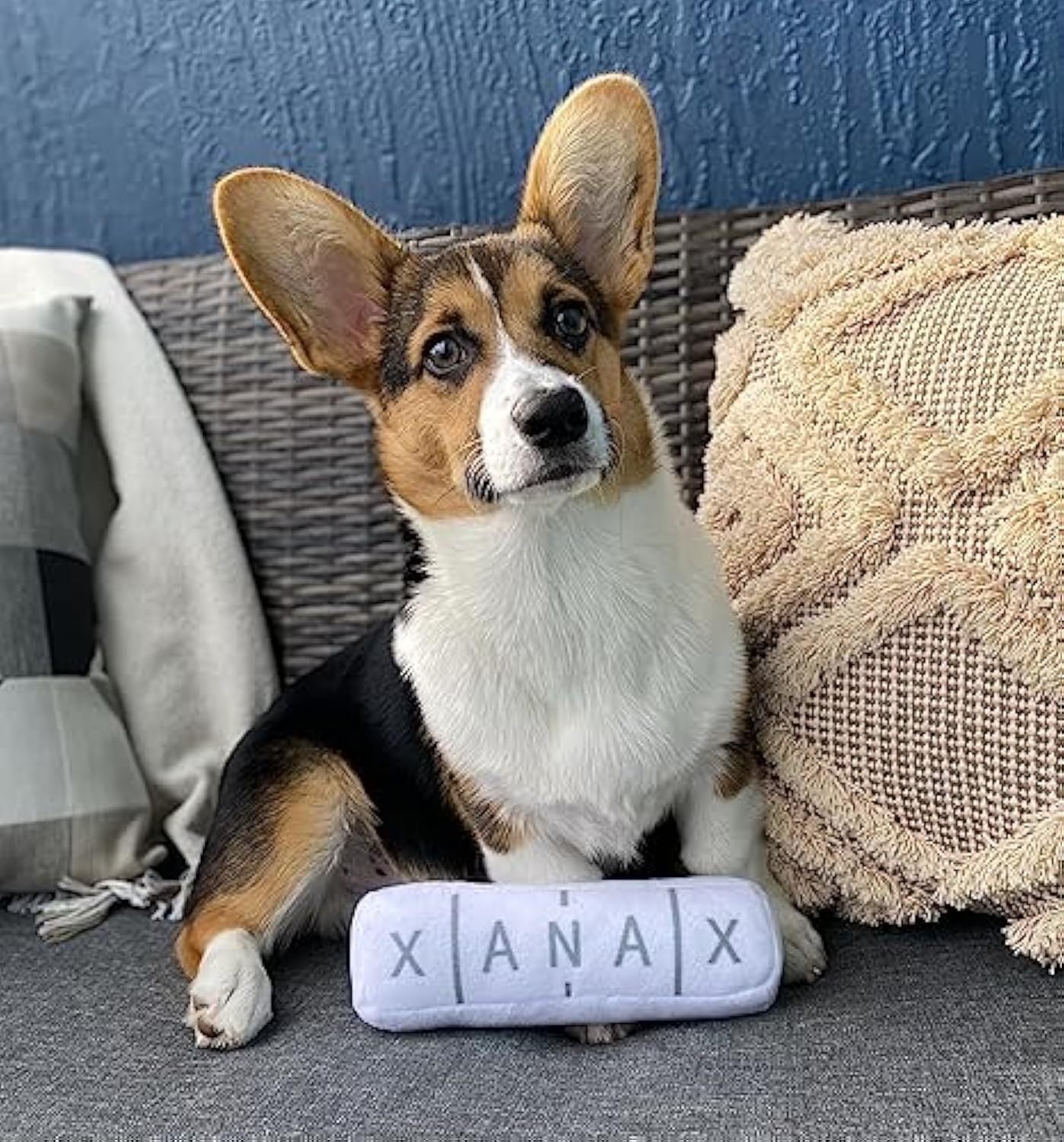 Xanax Plush – The Calm Chew Toy for Dogs Who Overthink