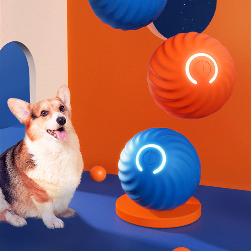 Zenball – The Ultimate Smart Toy for Dogs
