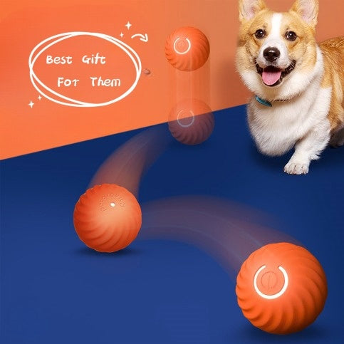 Zenball – The Ultimate Smart Toy for Dogs
