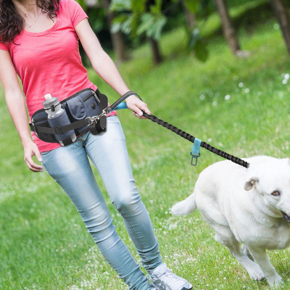 Strap & Stroll™ – The Hands-Free Belt for Dogs Who Walk You
